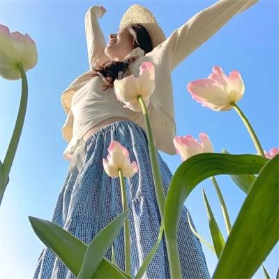 案中案海报