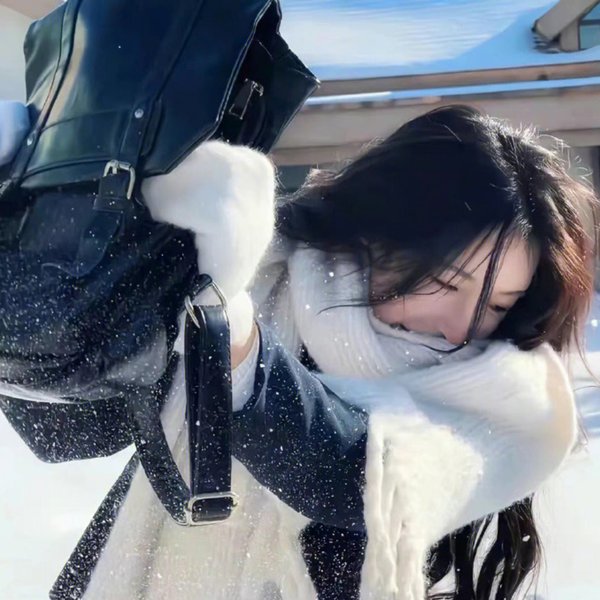 女人与斗士海报